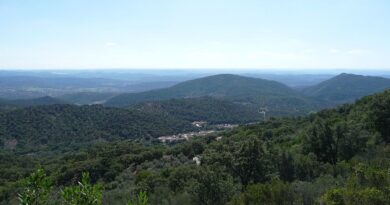 Sierra de Aracena en otoño: castaños, setas y rutas a pie Sierra de Aracena en otoño: castaños, setas y rutas a pie