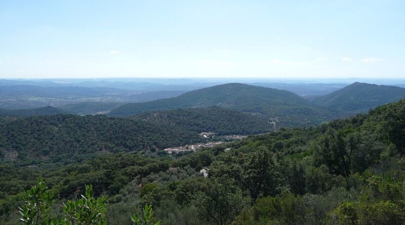 Sierra de Aracena en otoño: castaños, setas y rutas a pie Sierra de Aracena en otoño: castaños, setas y rutas a pie